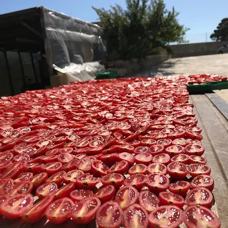 Appartamento Sole Ibleo Donnalucata (Sicily)